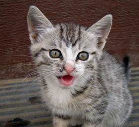 Similar image 5465163