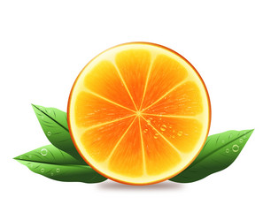 Similar image 5465165