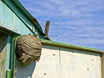 Similar image 5465166