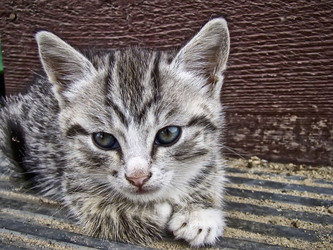 Similar image 5465171