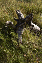 Similar image 5465201