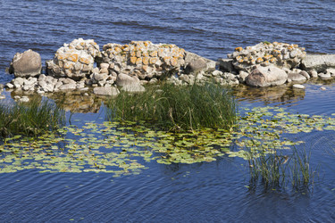 Similar image 5465211