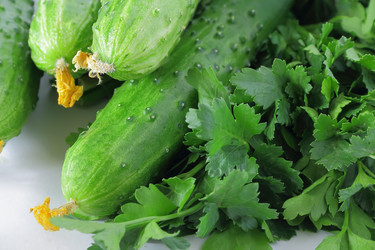 Similar image 5465239