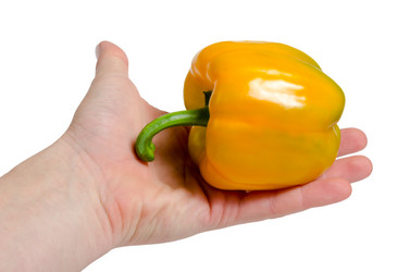 Similar image 5465259