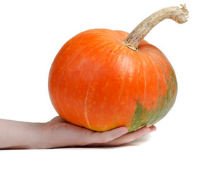 Similar image 5465265