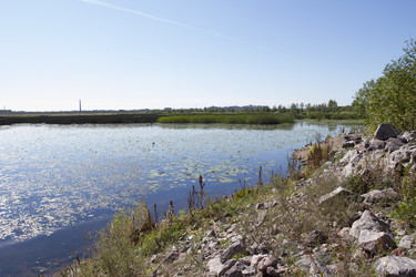 Similar image 5465383