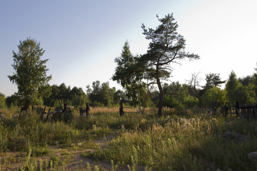 Similar image 5465392