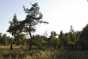 Similar image 5465393