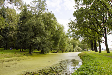 Similar image 5465420