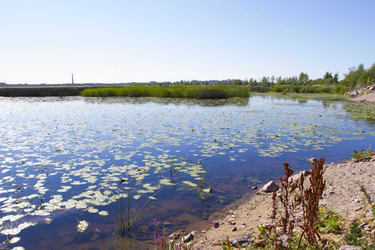 Similar image 5465421