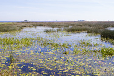 Similar image 5465425