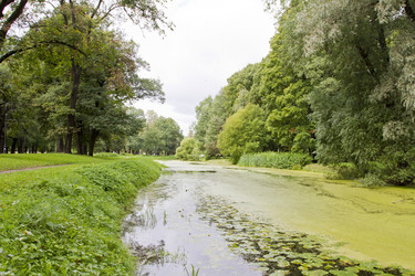 Similar image 5465426