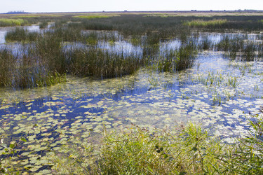 Similar image 5465429