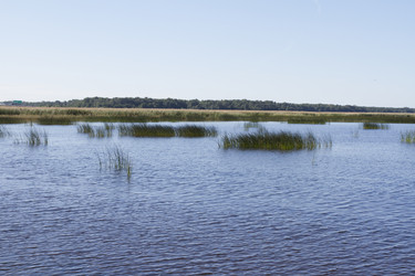 Similar image 5465432