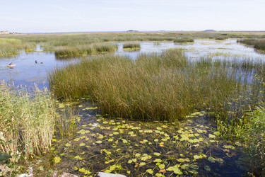 Similar image 5465439