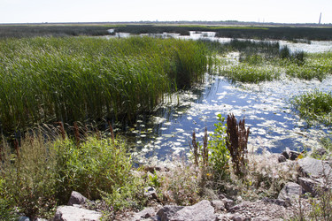 Similar image 5465440