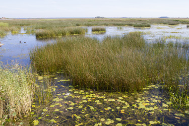 Similar image 5465441