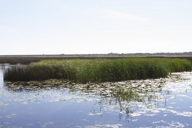 Similar image 5465448