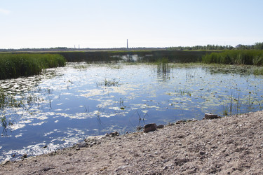 Similar image 5465452