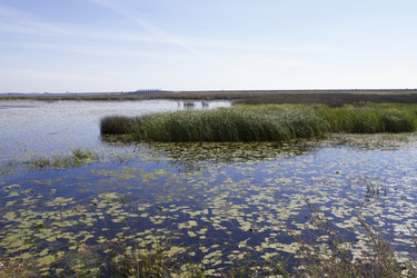 Similar image 5465453