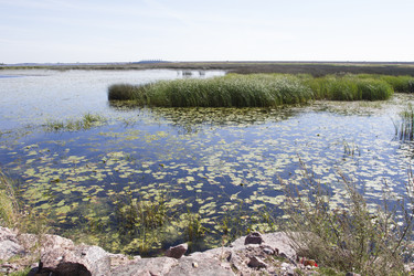 Similar image 5465454