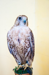 Similar image 5465849