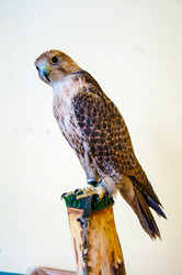 Similar image 5465850