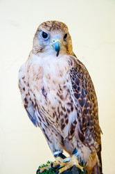 Similar image 5465851