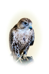 Similar image 5465853