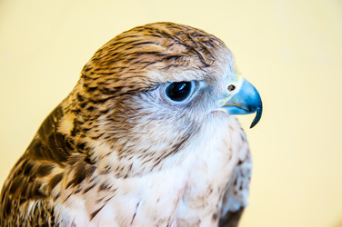 Similar image 5465855