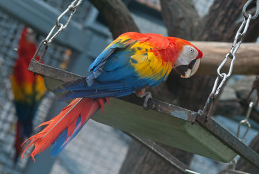 Similar image 5466164