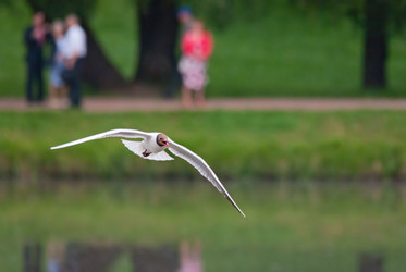 Similar image 5466184