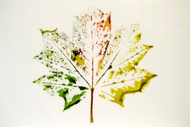 Similar image 5479657