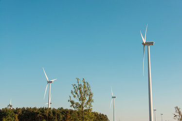 Similar image 5479931