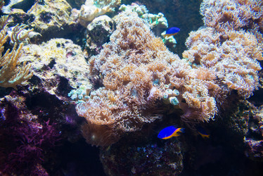 Similar image 5479963