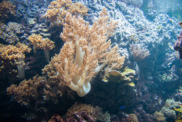 Similar image 5479966