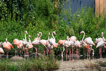 Similar image 5479975