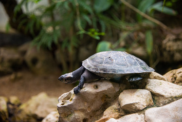 Similar image 5480013