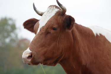 Similar image 5480252