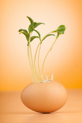 Similar image 5480523