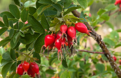 Similar image 5480855