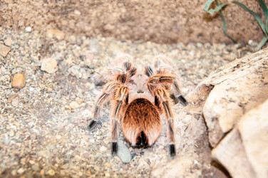 Similar image 5480867