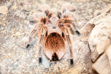 Similar image 5480869