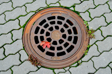 Similar image 5480889