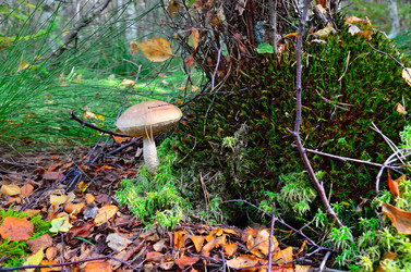 Similar image 5480893