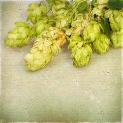 Similar image 5480894