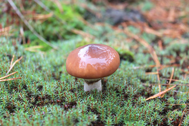 Similar image 5480921