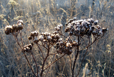 Similar image 5480932