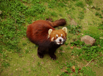 Similar image 5480973