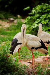 Similar image 5480986